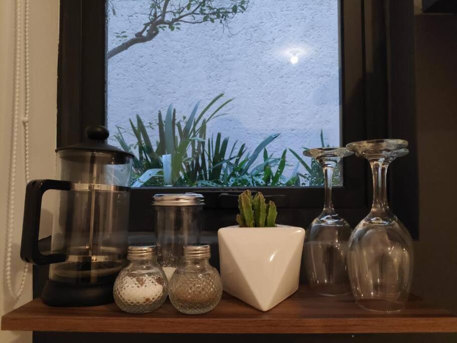 Comfy, Intimate With A Haunting Terrace Appartement Mexico