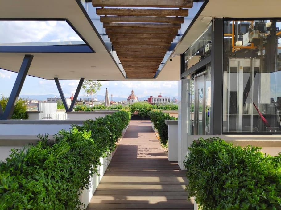 Comfy, Intimate With A Haunting Terrace Appartement Mexico